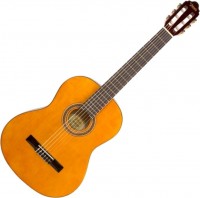 Photos - Acoustic Guitar Valencia 3912E 