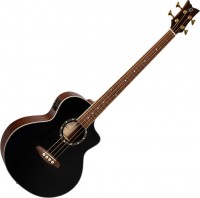 Acoustic Guitar Ortega D8CE-4 