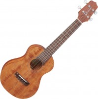Acoustic Guitar Takamine GUC1 
