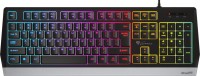 Keyboard Genesis Rhod 300 RGB 