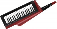 Synthesizer Korg RK-100S 2 