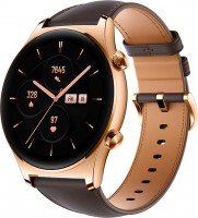 Smartwatches Honor Watch GS 3 