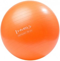 Photos - Exercise Ball / Medicine Ball HMS YB02 55 cm 