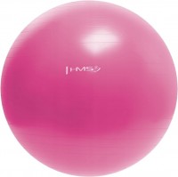 Photos - Exercise Ball / Medicine Ball HMS YB01 55 cm 