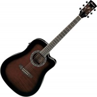 Photos - Acoustic Guitar Ibanez PF28ECE 