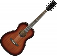 Photos - Acoustic Guitar Ibanez PN12E 