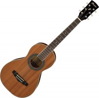 Photos - Acoustic Guitar Ibanez PN1MH 