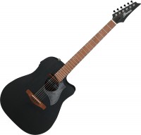 Acoustic Guitar Ibanez ALT20 