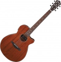 Acoustic Guitar Ibanez AEG220 