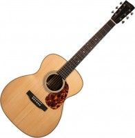 Photos - Acoustic Guitar Recording King RO-328 