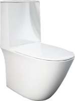 Toilet Rak Ceramics Sensation SENWC1146AWHA 