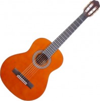 Acoustic Guitar Arrow Calma 1/2 