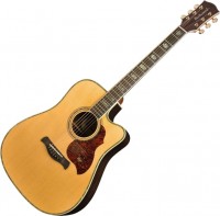 Photos - Acoustic Guitar Richwood D-70-CEVA 