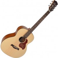 Photos - Acoustic Guitar Richwood B-20 
