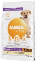 Dog Food IAMS Vitality Puppy Large Breed Fresh Chicken 12 kg 