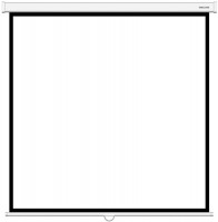 Photos - Projector Screen Deluxe Manual 305x305 