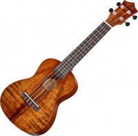 Photos - Acoustic Guitar Harley Benton Hawaii Koa Concert Ukulele 