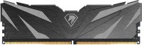 Photos - RAM Netac Shadow II DDR5 1x16Gb NTSWD5P48SP-16K