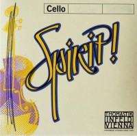 Photos - Strings Thomastik Spirit! Cello SP44 