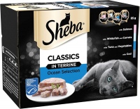 Photos - Cat Food Sheba Classic Ocean Collection in Terrine Trays  24 pcs