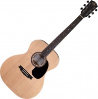 Acoustic Guitar Prodipe SA25 