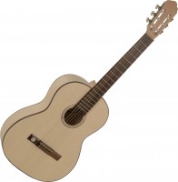 Acoustic Guitar GEWA Pro Natura Silver Series 4/4 