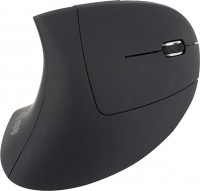 Mouse Equip Ergonomic Wireless Mouse 
