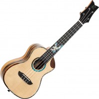 Acoustic Guitar Ortega EAGLESUITE-U 