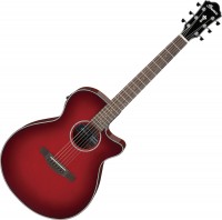 Acoustic Guitar Ibanez AEG51 