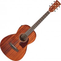 Acoustic Guitar Ibanez PN12MHE 