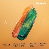 Photos - Strings DAddario Ascente Viola G String Short Scale Medium 