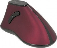 Mouse Delock Ergonomic Vertical Optical 5-button Mouse 2.4 Ghz Wireless 