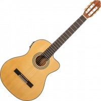 Photos - Acoustic Guitar Peavey Delta Woods CNS-CE 