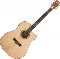 Photos - Acoustic Guitar Peavey DW-2 CE 