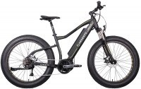 Photos - Bike Argento Elephant Pro 26 2022 