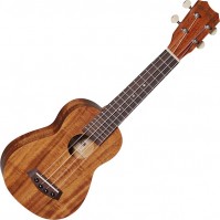 Acoustic Guitar Islander AS-4 
