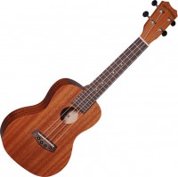 Acoustic Guitar Islander MC-4 