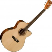 Photos - Acoustic Guitar Washburn WG7SCE 