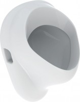 Photos - Urinal Geberit Felix 502.895.00.1 