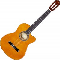Acoustic Guitar Valencia VC104TC 
