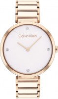 Wrist Watch Calvin Klein 25200135 