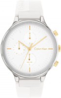 Wrist Watch Calvin Klein 25200244 