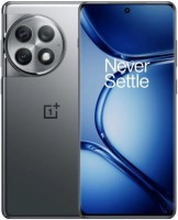 Photos - Mobile Phone OnePlus Ace 2 Pro 256 GB / 12 GB