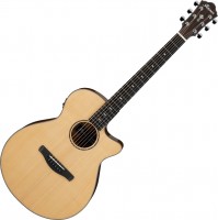 Photos - Acoustic Guitar Ibanez AEG200 