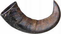 Photos - Dog Food Trixie Buffalo Chewing Horn L 1