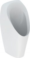 Photos - Urinal Geberit Tamina 116.141.00.1 