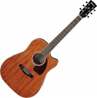 Acoustic Guitar Ibanez PF16MWCE 
