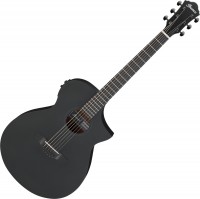 Acoustic Guitar Ibanez AEWC13 