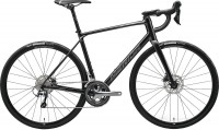Photos - Bike Merida Scultura Endurance 300 2024 frame XL 