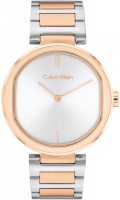 Wrist Watch Calvin Klein 25200251 